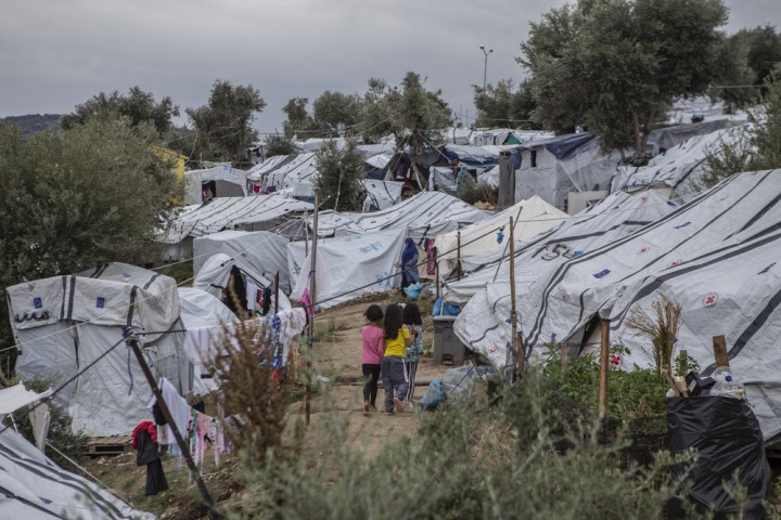 莫里亞難民營正式營區旁的橄欖樹林一景。©Anna Pantelia / MSF