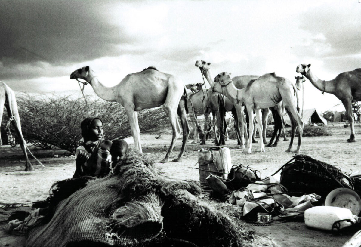 dadaab30yyears-01.jpg